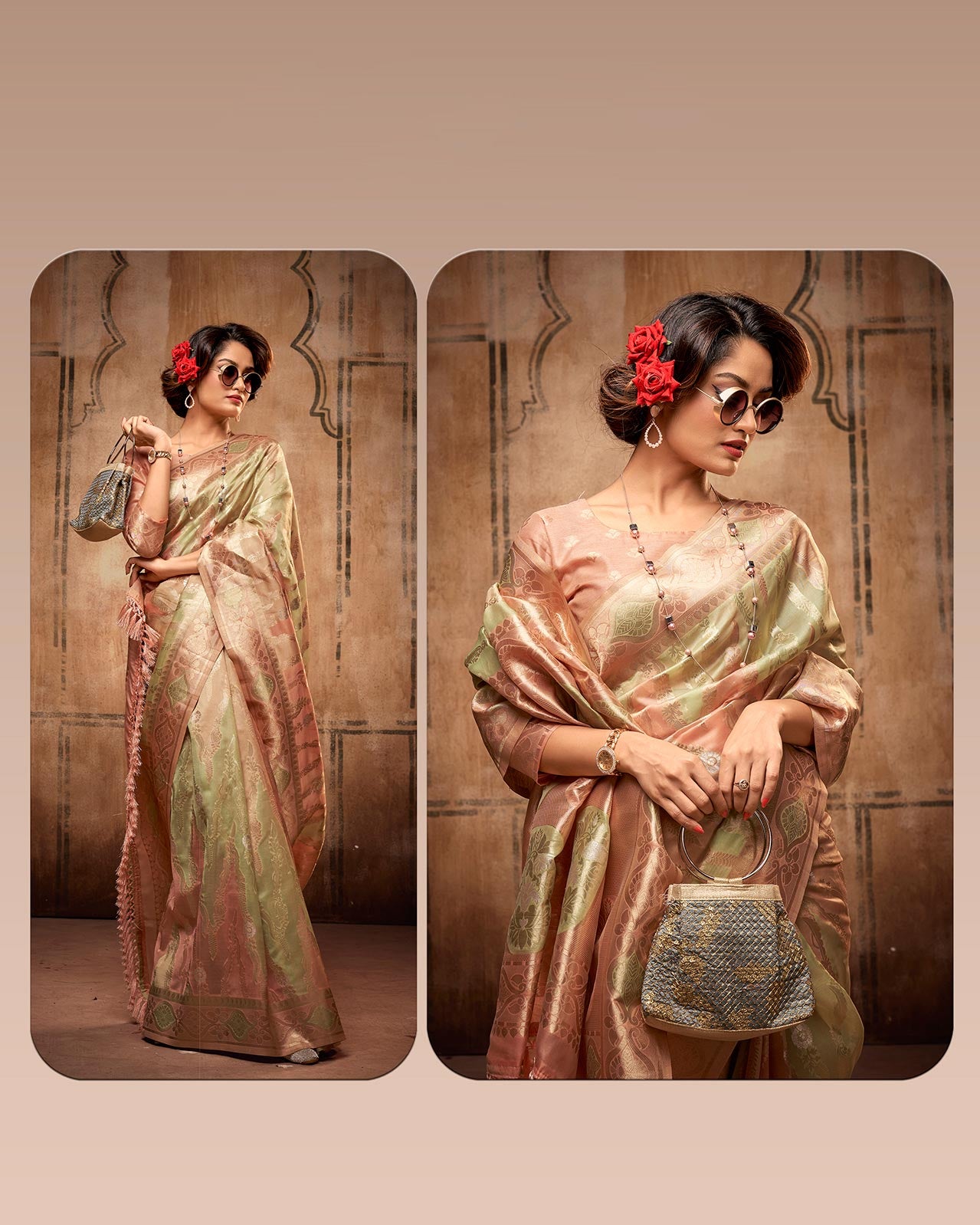 Rainbow Organza Silk Saree with Zari Weaving | RP16