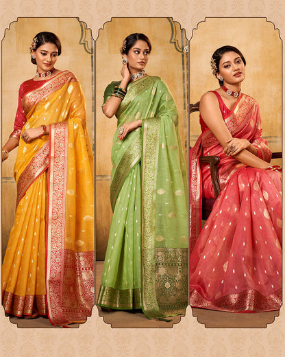 Banarasi Silk Tissue Saree with Contrast Borders | RP19