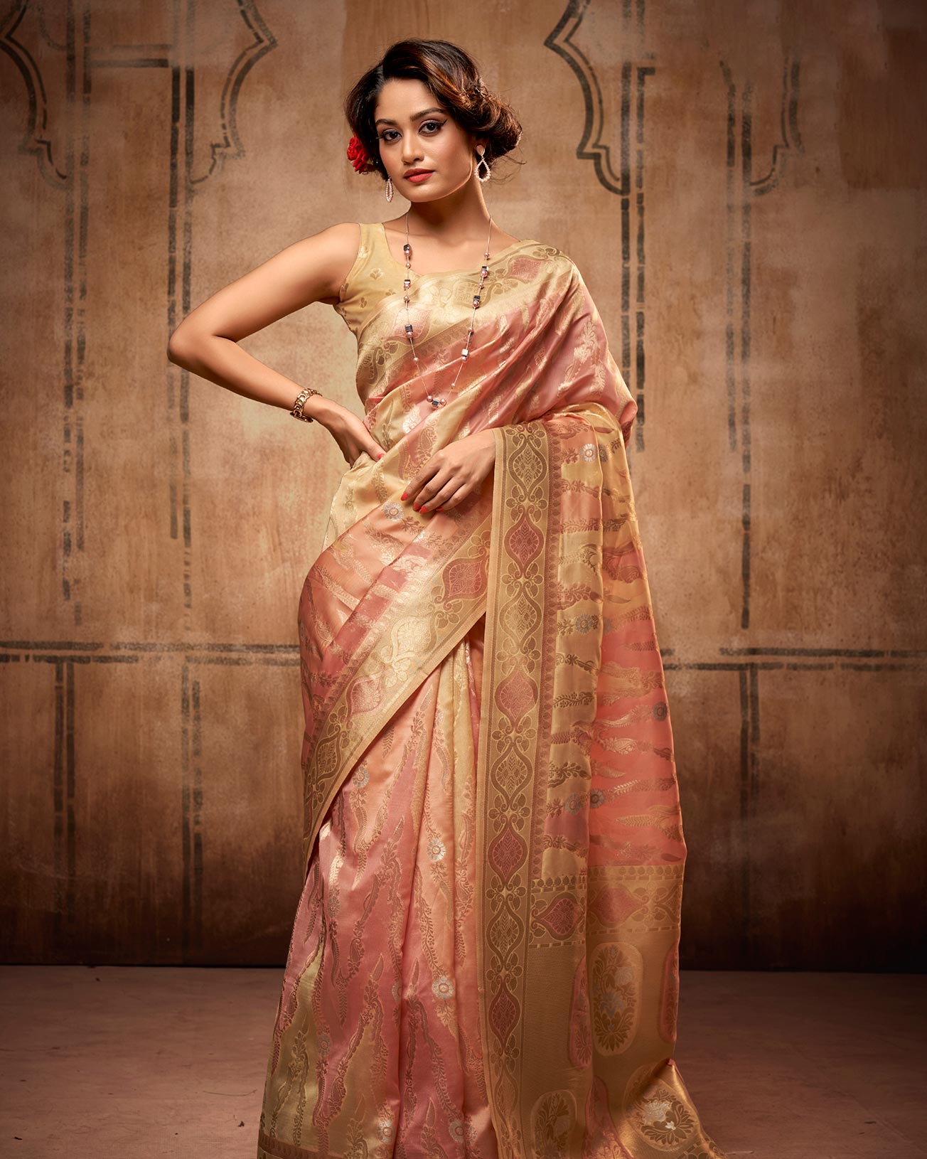 Rainbow Organza Silk Saree with Zari Weaving | RP16